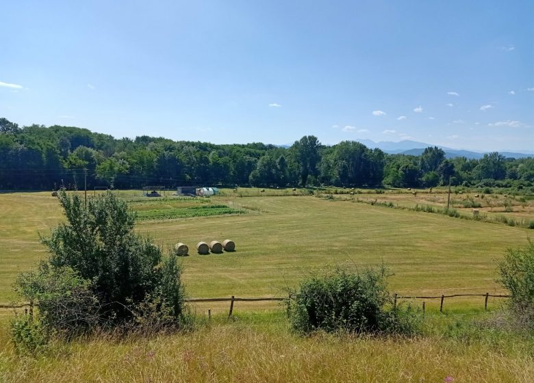 Centro agroambientale di Brassacou