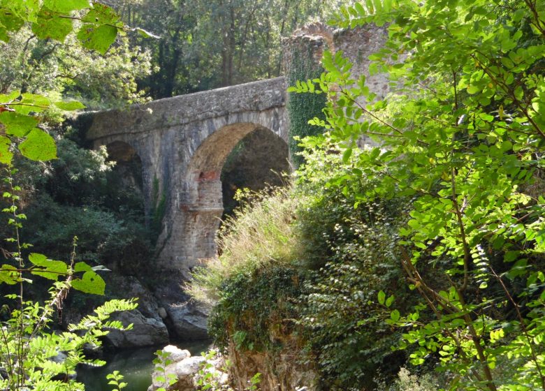 Pont du Diable