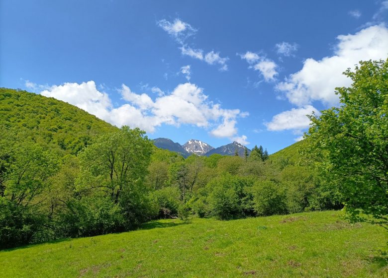 Penya-segat d'escalada Mijanès-Donezan
