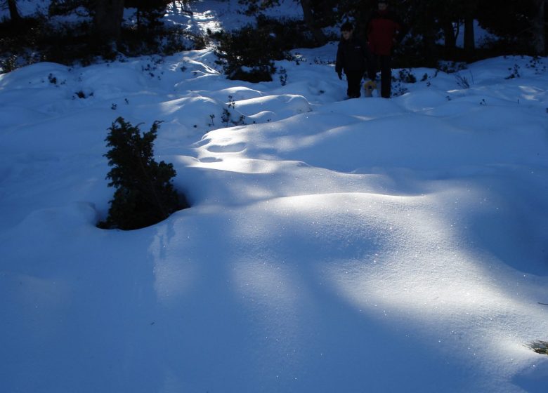 Raquetas de nieve y construcción de iglús con la Maison de la Montagne