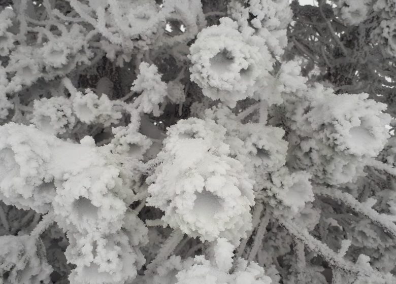 Raquetas de nieve y construcción de iglús con la Maison de la Montagne