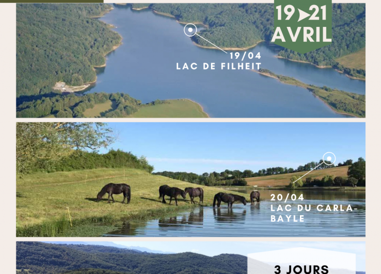 Caval’ariejo