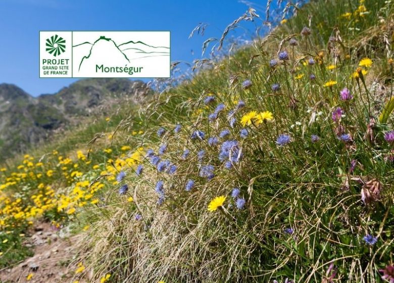Regards croisés sur la biodiversité de Prades