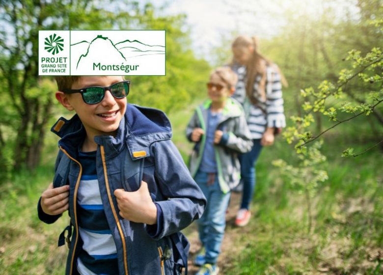 Découvrons l’écosystème forestier et sa biodiversité