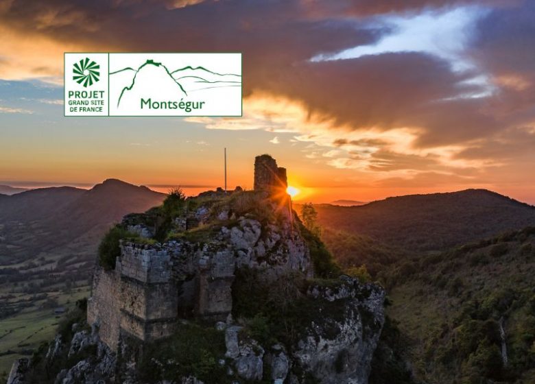 Un château, du calcaire et des fossiles