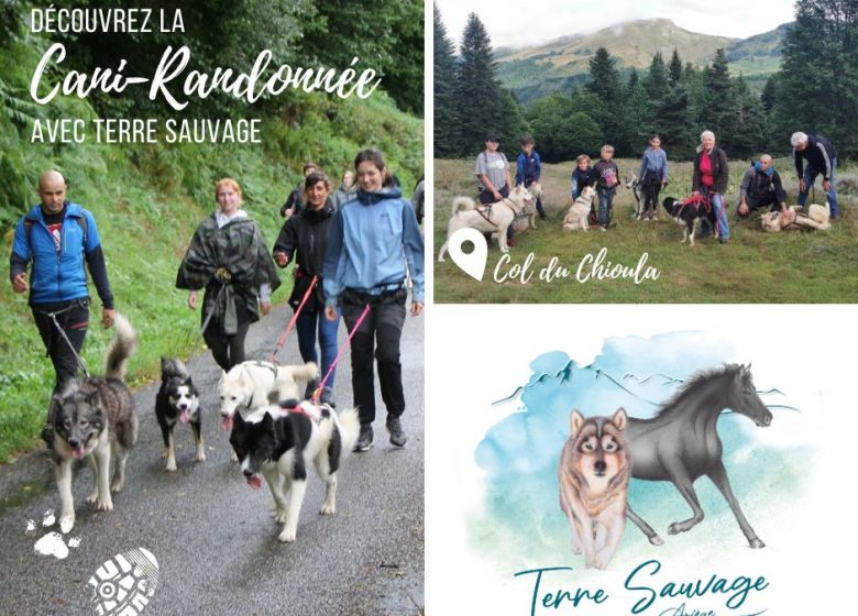 Cani-trekking con Terre Sauvage