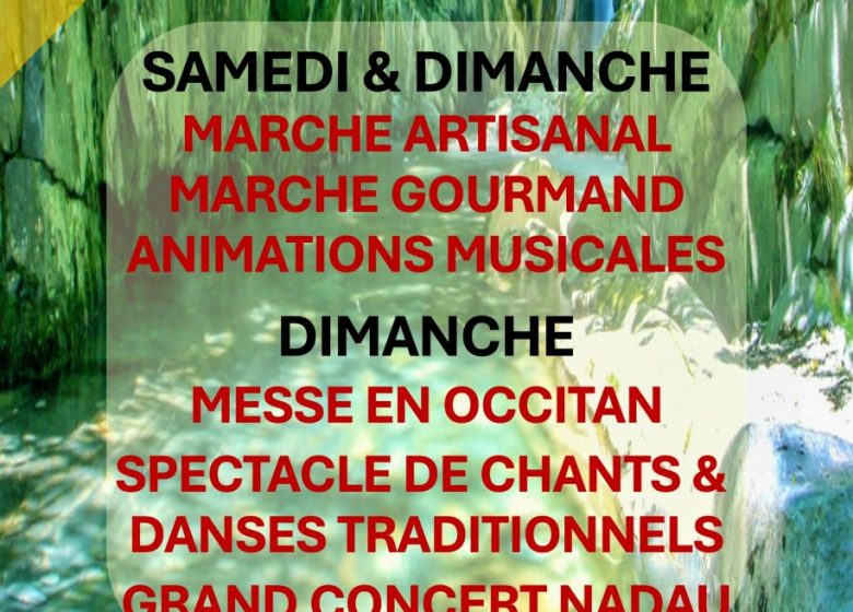Grand Concert de NADAU