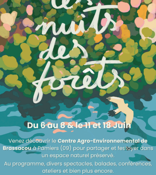 Les nuits des forêts 2025