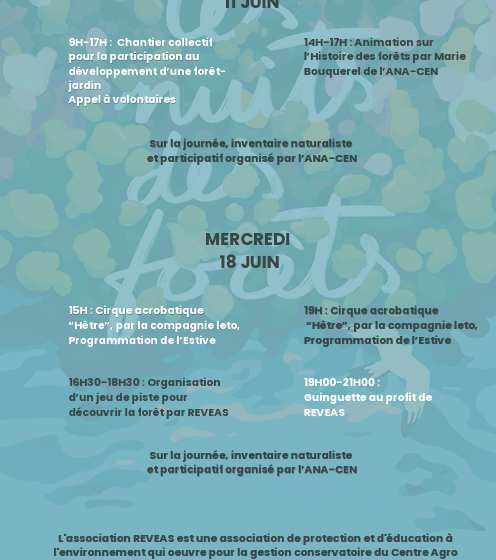 Les nuits des forêts 2025