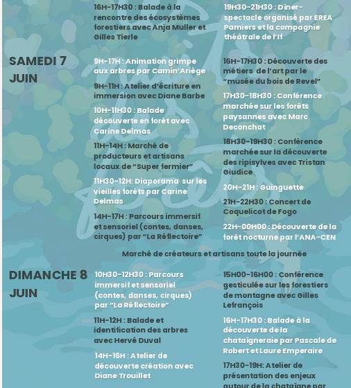 Les nuits des forêts 2025