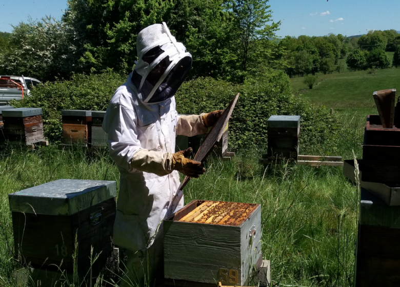 GAEC Miel Abeilles et Cie