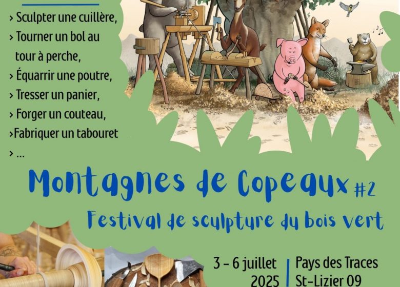Montagnes de Copeaux 2