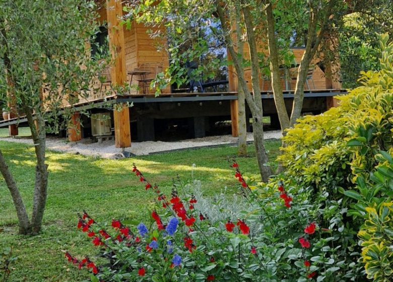 Gîte Lodge Gource