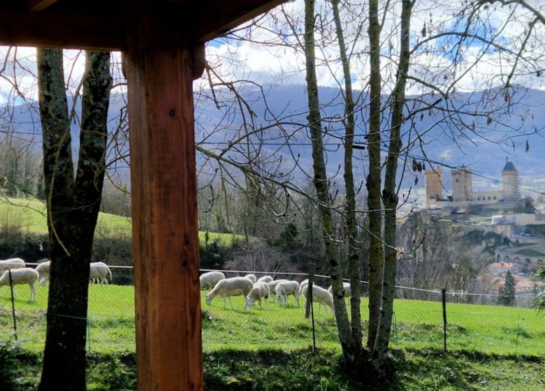 Gîte Lodge Gource