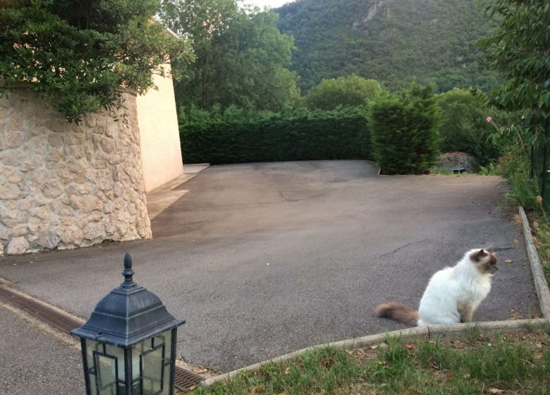 Gîte Lodge Gource