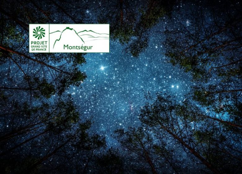 La nuit des étoiles
