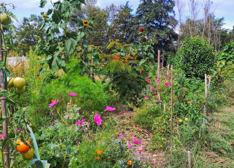 Journée portes ouvertes des Jardins partagés