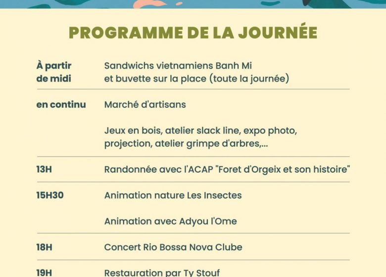 Les nuits des forêts