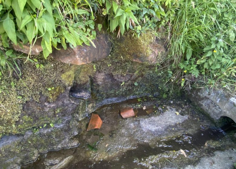 Point d’eau naturel