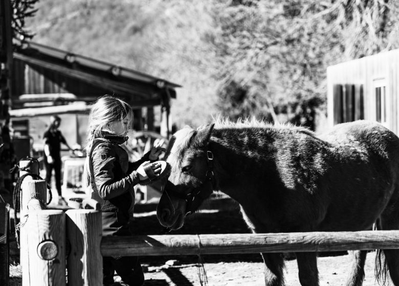 Le Haras des Cimes