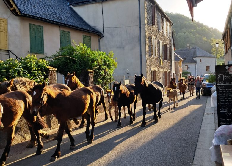 Hôtel L’Auberge de l’Isard