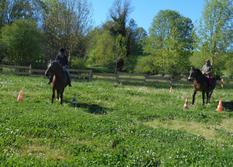 Stage d’équitation