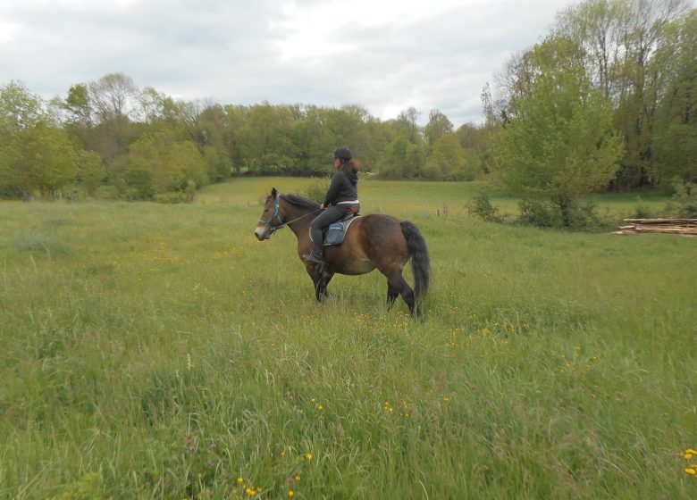 Cours particulier