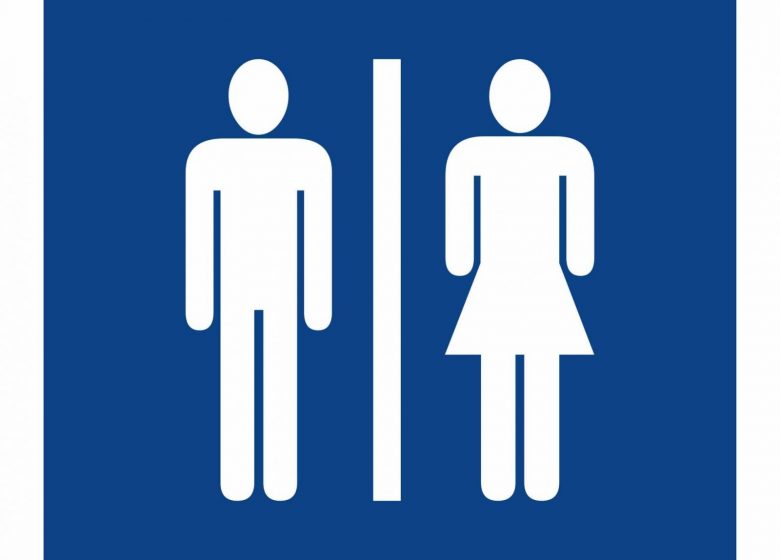 Toilettes publiques – Baulou