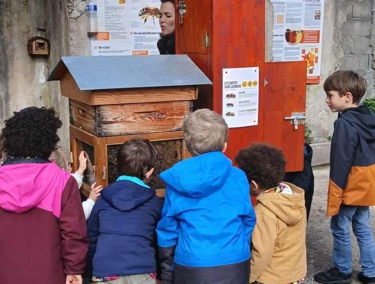 Eco-musée du rucher du Montcalm