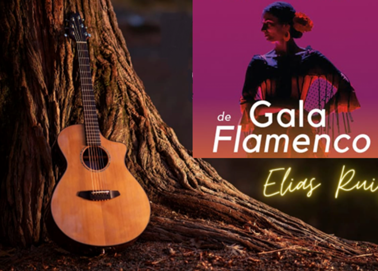 Spectacle de danse flamenco et concert